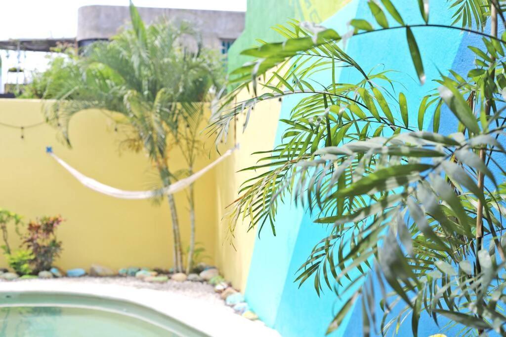 Studio -Sand At Mikasa- Fast Internet, King Bed, Pool, Near Beach, Ac Puerto Escondido  Esterno foto